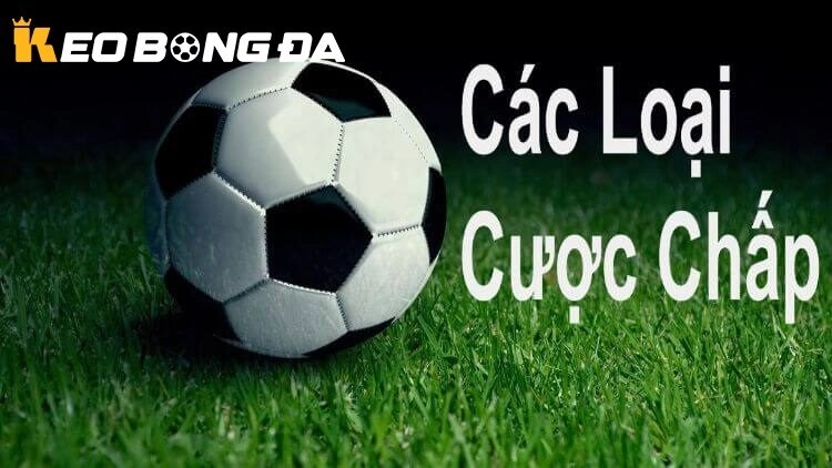 Các Loại Kèo Trong Bóng Đá – Hướng Dẫn Chi Tiết Cho Người Mới