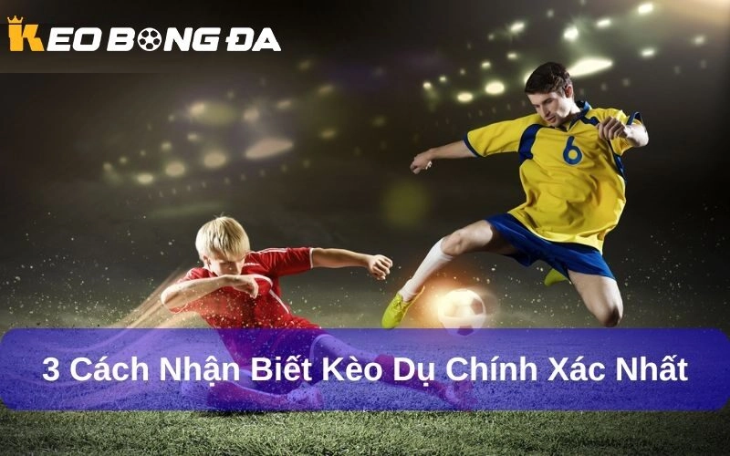Cách nhận biết Kèo Dụ chuẩn xác nhất