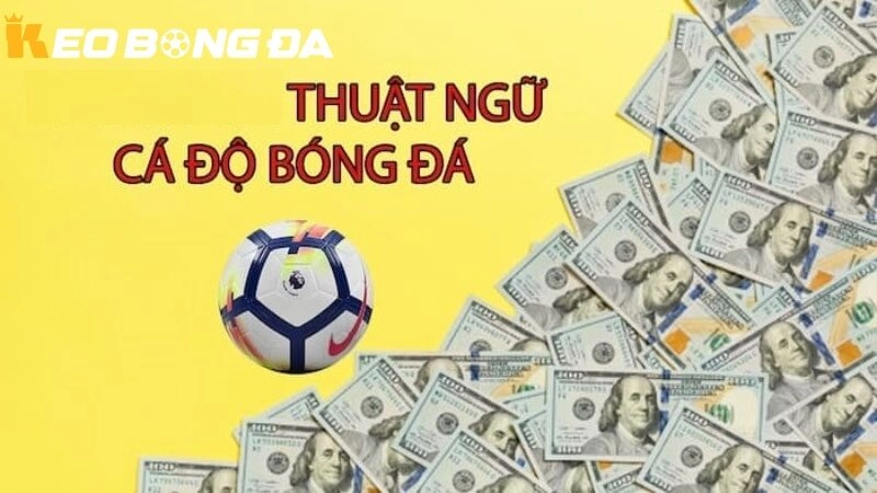 Khám phá trọn bộ thuật ngữ trong cá độ bóng đá giúp bạn hiểu rõ cách đọc kèo, phân tích cược và đặt cược thông minh.