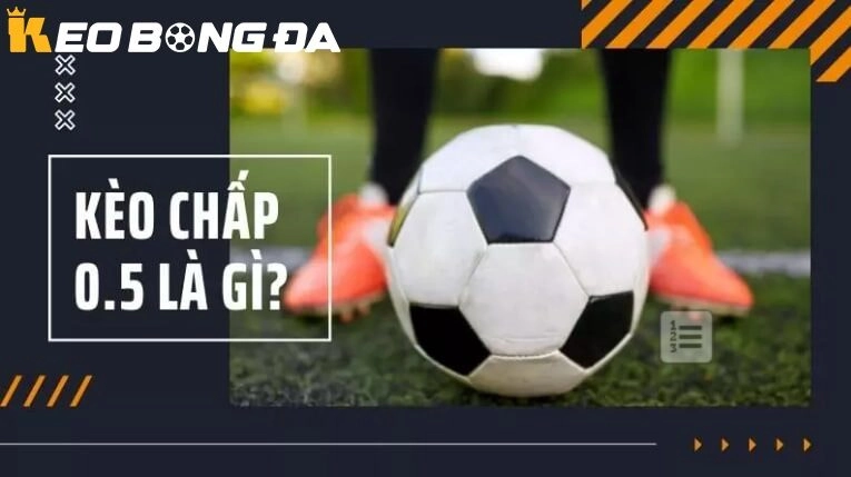 Hướng Dẫn Chi Tiết Cách Đọc Kèo Chấp 1/2 (Nửa Trái) Chuẩn SEO Cho Newbie