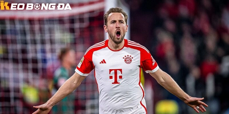 Bundesliga mùa giải 2025 2026 đang chứng kiến một trong những mùa giải bùng nổ nhất của các tiền đạo